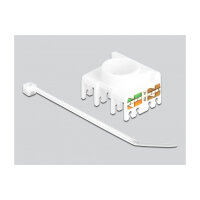 Keystone Modul RJ45 Buchse zu LSA Cat.6A 180° werkzeugfrei