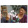 LEGO Creator Botanicals Collection Orchidee 10311