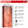 DISPLEX Full Cover Panzerglas (10H) für Apple iPhone 13/13 Pro/14/16e