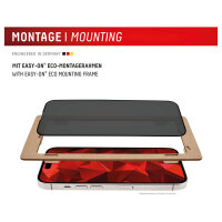 DISPLEX Privacy Glass FC iPhone 16