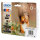Epson Tintenpatronen Multipack 478XL (6 Farben)