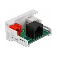 Easy 45 Modul 2 x Cinch Buchse zu RJ45 Buchse 22,5 x 45 mm