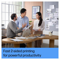 L HP LaserJet Tank MFP 2604DW 3in1/A4/LAN/WiFi/Duplex