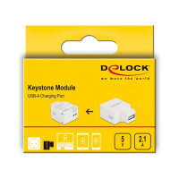 Keystone Modul mit USB Typ-A Ladebuchse 2,1 A weiß