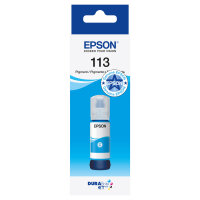 Epson Tinte 113 C13T06B240 Pigment Cyan bis zu 6.000 Seiten