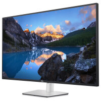 170,95/42,51 (3840x2160) Dell U4323QE 16:9 5ms 60Hz IPS 2xHDMI 2xDP USB-C VESA 4K Speaker