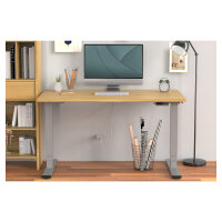 DIGITUS Elektrisch höhenverstellbares Tischgestell, Dual-Motor, 3-Stufen, Grau