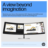 HP E45c G5 Curved Monitor 113cm (44,5 Zoll)