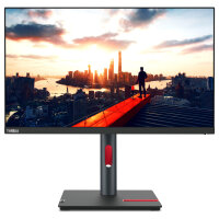 60,5cm/23,8" (2560x1440) Lenovo ThinkVision P24h-30...
