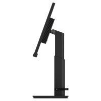 60,5cm/24" (1920x1080) Lenovo ThinkVision T24m-29 16:9 FHD IPS 60Hz 4ms HDMI DP USB-C Pivot Black