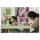 LEGO Animal Crossing Nooks Laden & Sophies Haus 77050