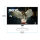 BenQ Monitor EW270Q LCD-Display 68,58 cm (27")