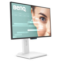 BenQ Monitor GW2490TC LCD-Display 60,45 cm (23,8")