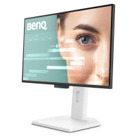 BenQ Monitor GW2490TC LCD-Display 60,45 cm (23,8")