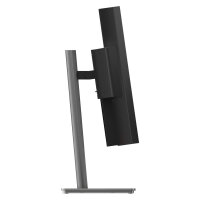 Lenovo ThinkVision P40WD-40 WUHD Curved Monitor 100,8 cm (39,7")