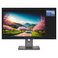 Lenovo ThinkVision P32UD-40 4K Ultra HD Monitor 80 cm...