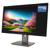Lenovo ThinkVision P32UD-40 4K Ultra HD Monitor 80 cm (31,5")