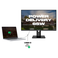 JapanNext FULL HD Monitor 60,5cm (23,8")