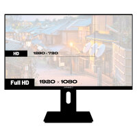 JapanNext FULL HD Monitor 60,5cm (23,8")