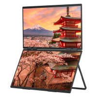 JapanNext FHD Doppelmonitor 60,45cm (23,8")