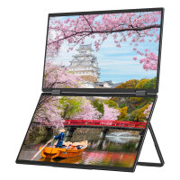 JapanNext FHD Doppelmonitor 39,62cm (15,6")