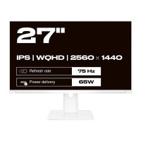 JapanNext WQHD Monitor 68,6cm (27")