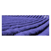 Xerox Toner C410 Black Schwarz (006R04677)