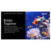 Xerox C320/C325 XL Toner Gelb (5.500 Seiten)