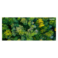 Xerox VersaLink C7000 Toner Magenta (10.100 Seiten)
