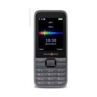 swisstone SC 560