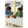 LEGO 21590 Minecraft Duell mit dem Wither