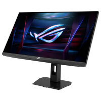 ASUS ROG Strix XG248QSG 61.13cm (16:10) FHD HDMI DP