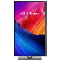 ASUS ProArt PA32QCV 80.1cm (16:9) HDMI DP