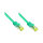 GoodConnections RJ45 Patchkabel mit Cat. 7 Rohkabel und Rastnasenschutz (), S/FTP, PiMF, halogenfrei, 500MHz, OFC, grün, 0,25m,