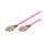 GoodConnections Patchkabel LWL Duplex OM4 (Multimode, 50/125) SC/SC, LSZH, austauschbare Polarität, 1m,