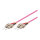 GoodConnections Patchkabel LWL Duplex OM4 (Multimode, 50/125) SC/SC, LSZH, austauschbare Polarität, 0,5m,