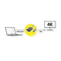 ROLINE USB Typ C - DVI Adapterkabel, ST/ST, 2 m