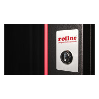 ROLINE 19-Zoll Wandgehuse Pro 12 HE, 600x450 BxT schwarz