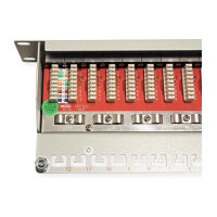ROLINE 10-Zoll Patchpanel 12 Ports, Cat.6A (Class EA), geschirmt