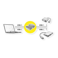 ROLINE USB 3.2 Gen 2 Adapter, 2x USB Typ C - 2x Typ C, ST/BU, silberfarben
