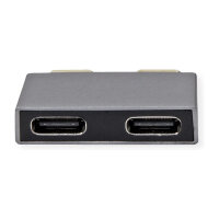 ROLINE USB 3.2 Gen 2 Adapter, 2x USB Typ C - 2x Typ C, ST/BU, silberfarben