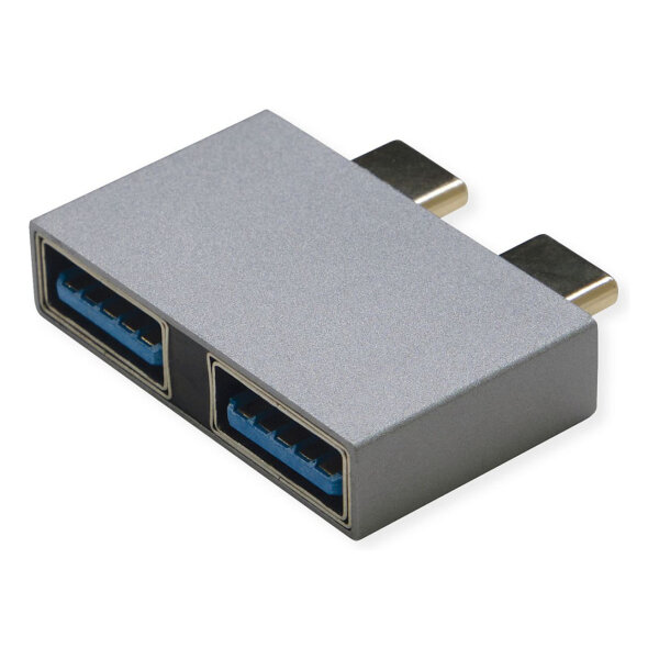ROLINE USB 3.2 Gen 2 Adapter, 2x USB Typ C - 2x Typ A, ST/BU, silberfarben