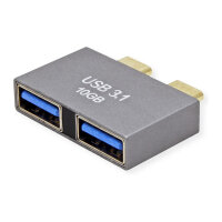 ROLINE USB 3.2 Gen 2 Adapter, 2x USB Typ C - 2x Typ A, ST/BU, silberfarben