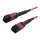 Synergy21 LWL-MTP®-Female Patchkabel OM4 LowLoss(ELite), 12 Faser, Typ B crossed, erika-violett, 7,5m