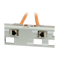 Synergy21 Keystone, Modulträger, 19Patchpanel für 24xTP-Modul, 1HE(t 96mm) 45Grad Schrägauslass, Lichtgrau