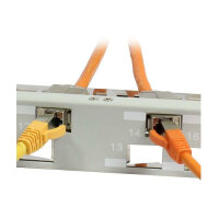 Synergy21 Keystone, Modulträger, 19Patchpanel für 24xTP-Modul, 1HE(t 96mm) 45Grad Schrägauslass, Lichtgrau