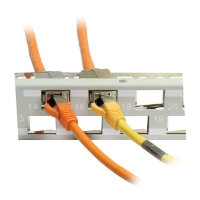 Synergy21 Keystone, Modulträger, 19Patchpanel für 24xTP-Modul, 1HE(t 96mm) 45Grad Schrägauslass, Lichtgrau