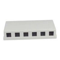 Synergy21 Keystone, Modulträger, Patchpanel für...