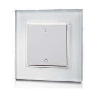 Synergy 21 LED Serie EOS 05 Wandtaster 1-fach Serie 1