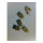 Synergy 21 LED light panel zub Montage Kit Flaps
